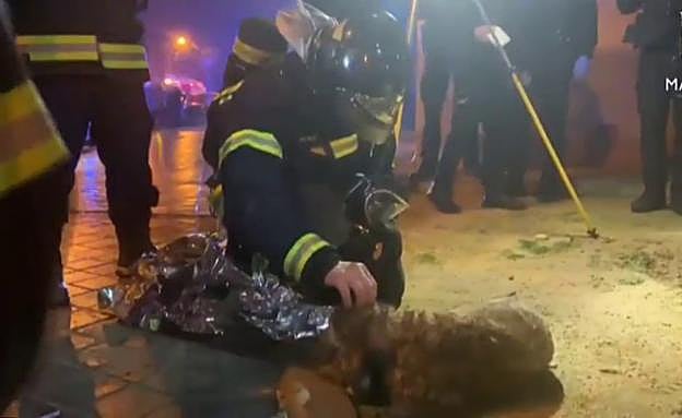 Los bomberos rescataron también a su perro